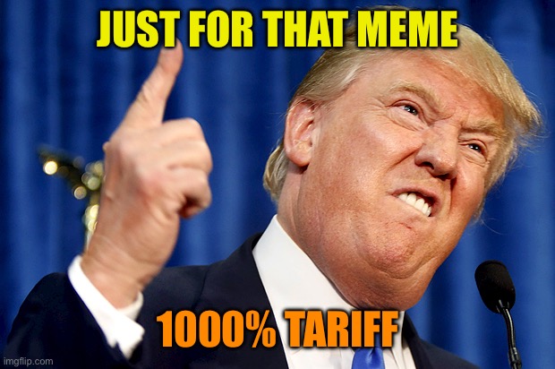 Donald Trump | JUST FOR THAT MEME 1000% TARIFF | image tagged in donald trump | made w/ Imgflip meme maker