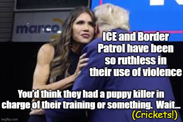 Kristi the ICE Queen | ICE and Border Patrol have been so ruthless in their use of violence; You’d think they had a puppy killer in charge of their training or something.  Wait…; (Crickets!) | image tagged in maga,government corruption,big government,donald trump you're fired,fascists,presidential alert | made w/ Imgflip meme maker