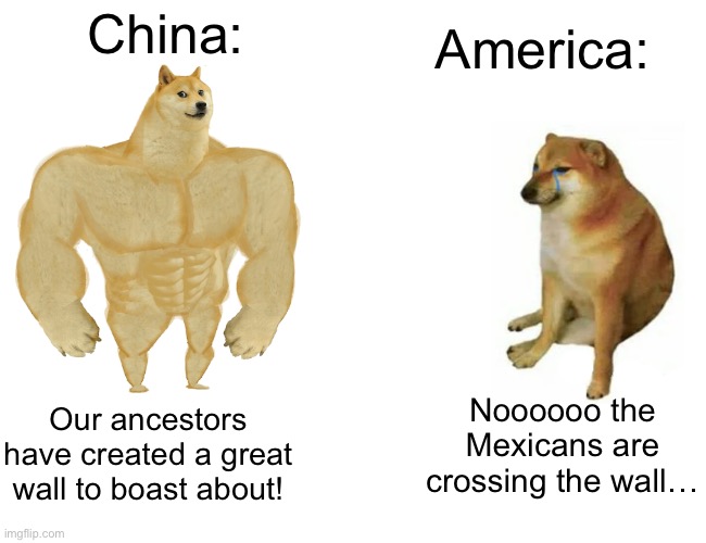 both walls, different meaning. | America:; China:; Noooooo the Mexicans are crossing the wall…; Our ancestors have created a great wall to boast about! | image tagged in memes,buff doge vs cheems | made w/ Imgflip meme maker