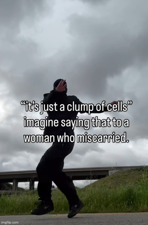 realer every day | image tagged in true,facts,dancing,abortion is murder | made w/ Imgflip meme maker