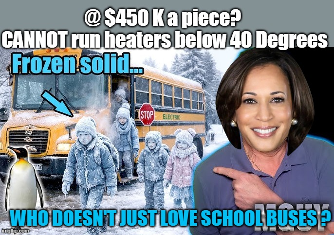 @ $450 K a piece? 
CANNOT run heaters below 40 Degrees WHO DOESN'T JUST LOVE SCHOOL BUSES ? | made w/ Imgflip meme maker
