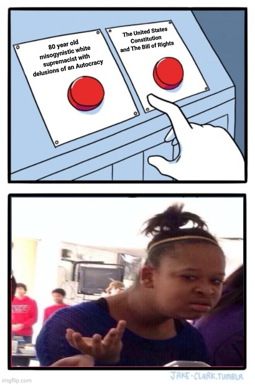 One Is A Cult.  The Other Is A COUNTRY | The United States Constitution and The Bill of Rights; 80 year old misogynistic white supremacist with delusions of an Autocracy | image tagged in memes,two buttons,impeach trump,the constitution,bill of rights,maga | made w/ Imgflip meme maker