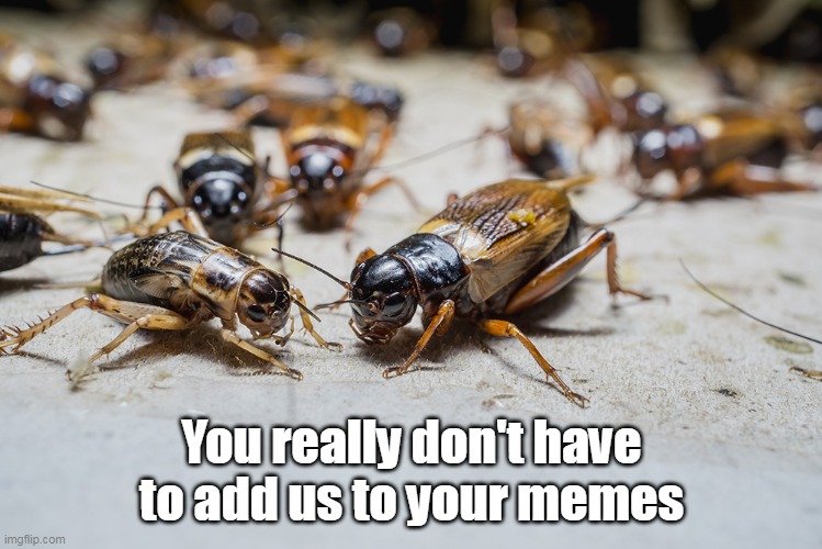 You really don't have to add us to your memes | made w/ Imgflip meme maker