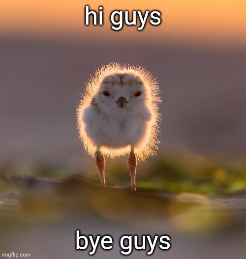 hi guys; bye guys | made w/ Imgflip meme maker