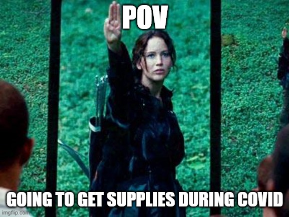 covid meme | POV; GOING TO GET SUPPLIES DURING COVID | image tagged in hunger games | made w/ Imgflip meme maker