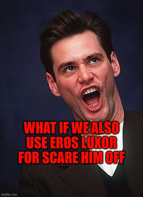 jim carrey duh  | WHAT IF WE ALSO USE EROS LUXOR FOR SCARE HIM OFF | image tagged in jim carrey duh | made w/ Imgflip meme maker