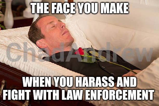 THE FACE YOU MAKE; WHEN YOU HARASS AND FIGHT WITH LAW ENFORCEMENT | image tagged in illegal aliens,ice,riot,crying democrats | made w/ Imgflip meme maker