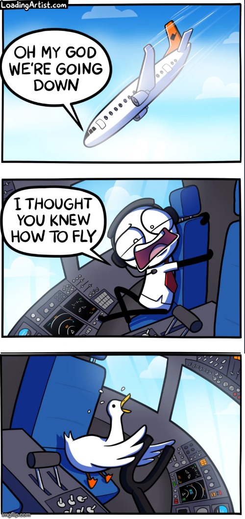 image tagged in comics,loadingartist,plane,fly,goose,crash | made w/ Imgflip meme maker