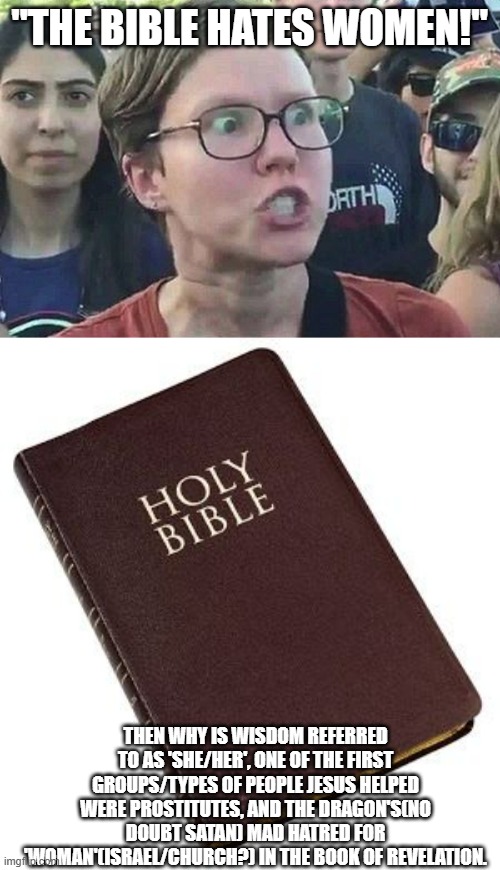 The Bible doesn't hate women. | "THE BIBLE HATES WOMEN!"; THEN WHY IS WISDOM REFERRED TO AS 'SHE/HER', ONE OF THE FIRST GROUPS/TYPES OF PEOPLE JESUS HELPED WERE PROSTITUTES, AND THE DRAGON'S(NO DOUBT SATAN) MAD HATRED FOR 'WOMAN'(ISRAEL/CHURCH?) IN THE BOOK OF REVELATION. | image tagged in triggered liberal,the bible | made w/ Imgflip meme maker