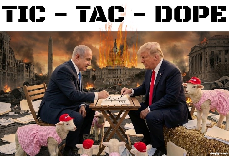 TIC - TAC - DOPE | TIC - TAC - DOPE | image tagged in tic tac toe,tic-tac-toe,netanyahu,trump,maga,israel | made w/ Imgflip meme maker