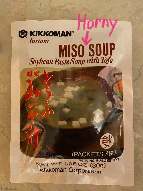 Miso Horny Soup | image tagged in funny,meme,memes,miso soup,asian | made w/ Imgflip meme maker