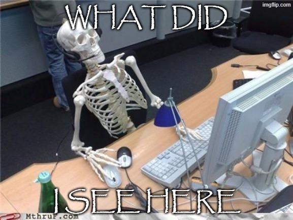 Waiting skeleton | WHAT DID I SEE HERE | image tagged in waiting skeleton | made w/ Imgflip meme maker
