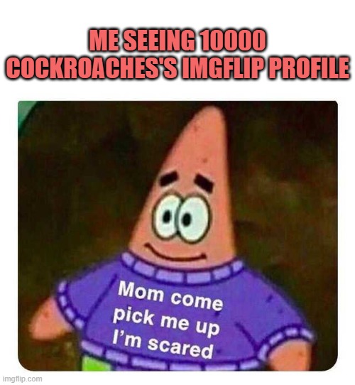 Patrick Mom come pick me up I'm scared | ME SEEING 10000 COCKROACHES'S IMGFLIP PROFILE | image tagged in patrick mom come pick me up i'm scared | made w/ Imgflip meme maker