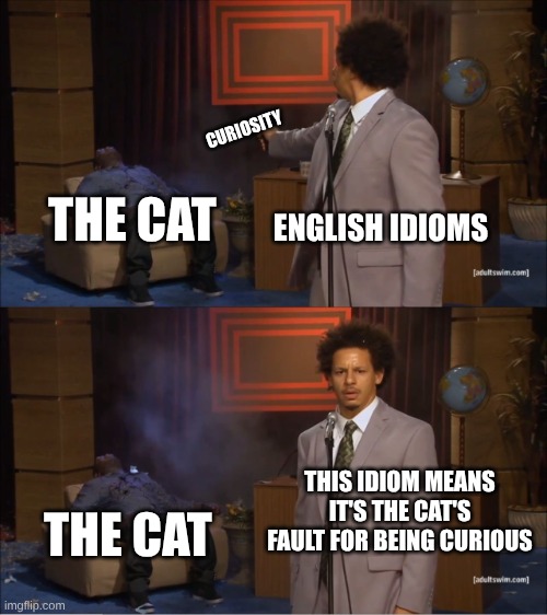 Idioms are weird | CURIOSITY; ENGLISH IDIOMS; THE CAT; THIS IDIOM MEANS IT'S THE CAT'S FAULT FOR BEING CURIOUS; THE CAT | image tagged in memes,who killed hannibal,english,sayings,curiosity,cats | made w/ Imgflip meme maker