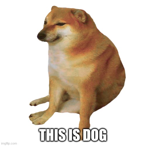 dog | THIS IS DOG | image tagged in cheems | made w/ Imgflip meme maker