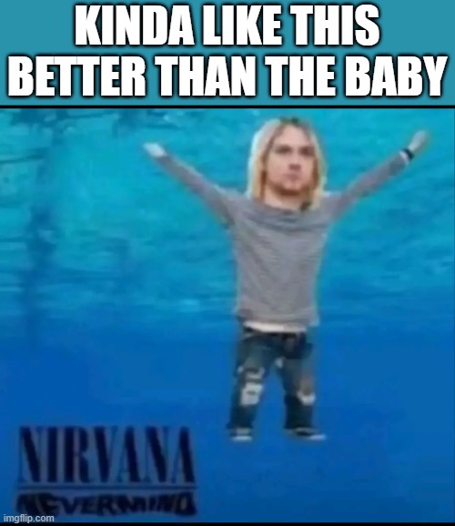 Nirvana Nevermind | KINDA LIKE THIS BETTER THAN THE BABY | image tagged in music,nirvana | made w/ Imgflip meme maker