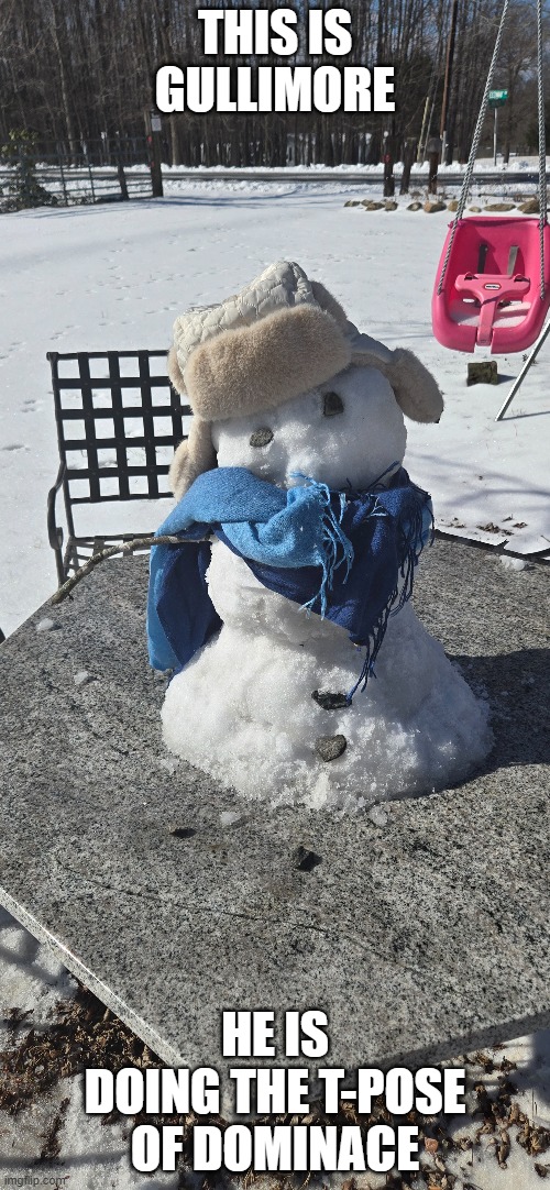 I havent made a snowman since i was 8. I'm happy now (btw Gullimore knows ur search history) | THIS IS GULLIMORE; HE IS DOING THE T-POSE OF DOMINACE | made w/ Imgflip meme maker