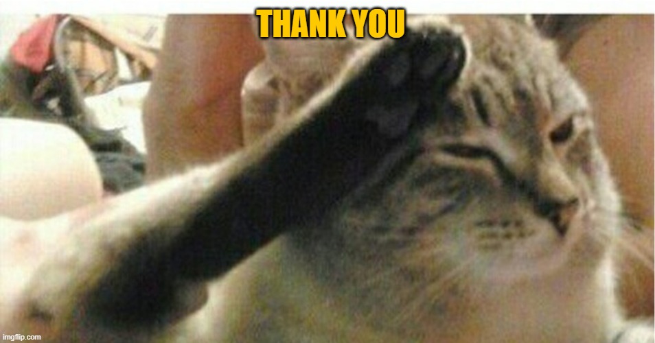 Cat of Honor | THANK YOU | image tagged in cat of honor | made w/ Imgflip meme maker
