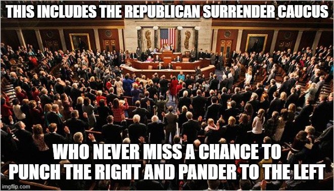 Congress | THIS INCLUDES THE REPUBLICAN SURRENDER CAUCUS; WHO NEVER MISS A CHANCE TO PUNCH THE RIGHT AND PANDER TO THE LEFT | image tagged in congress | made w/ Imgflip meme maker