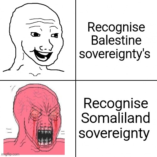 Happy vs Angry Wojak | Recognise Balestine sovereignty's; Recognise Somaliland sovereignty | image tagged in happy vs angry wojak | made w/ Imgflip meme maker