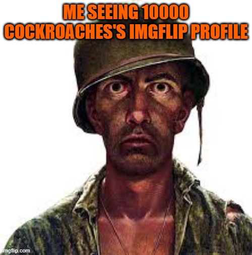 traumatized soldier | ME SEEING 10000 COCKROACHES'S IMGFLIP PROFILE | image tagged in traumatized soldier | made w/ Imgflip meme maker