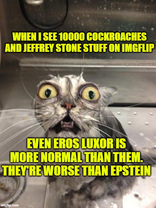 Traumatized Wet Cat | WHEN I SEE 10000 COCKROACHES
AND JEFFREY STONE STUFF ON IMGFLIP; EVEN EROS LUXOR IS MORE NORMAL THAN THEM. THEY'RE WORSE THAN EPSTEIN | image tagged in traumatized wet cat | made w/ Imgflip meme maker