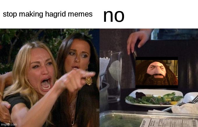 hagrid | stop making hagrid memes; no | image tagged in memes,woman yelling at cat,hagrid | made w/ Imgflip meme maker