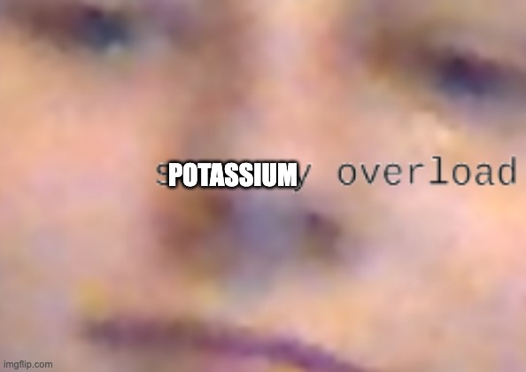 sensory overload | POTASSIUM | image tagged in sensory overload | made w/ Imgflip meme maker