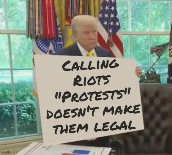 Your Idol President Trump | Calling Riots "Protests" doesn't make them legal | image tagged in your idol president trump | made w/ Imgflip meme maker