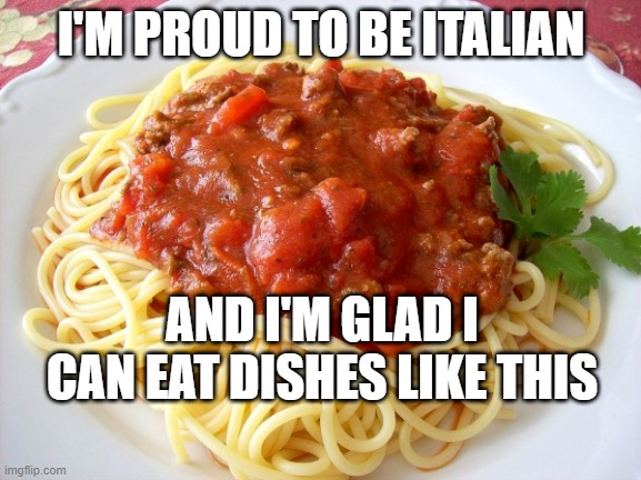 Spaghetti  | I'M PROUD TO BE ITALIAN; AND I'M GLAD I CAN EAT DISHES LIKE THIS | image tagged in spaghetti | made w/ Imgflip meme maker