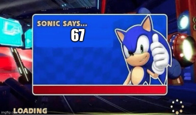 Sonic Says | 67 | image tagged in sonic says | made w/ Imgflip meme maker