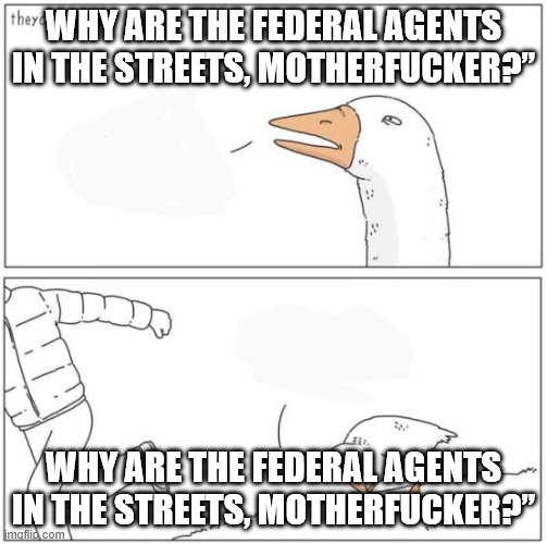 Angry goose | WHY ARE THE FEDERAL AGENTS IN THE STREETS, MOTHERFUCKER?”; WHY ARE THE FEDERAL AGENTS IN THE STREETS, MOTHERFUCKER?” | image tagged in angry goose | made w/ Imgflip meme maker