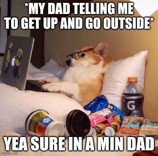 real. | *MY DAD TELLING ME TO GET UP AND GO OUTSIDE*; YEA SURE IN A MIN DAD | image tagged in lazy dog in bed | made w/ Imgflip meme maker
