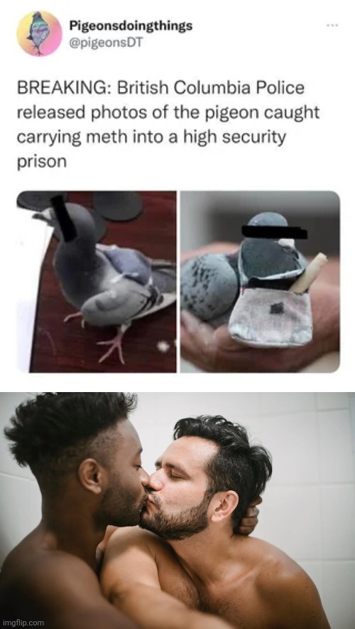 the censor on the pigeon's eyes is sending me | made w/ Imgflip meme maker