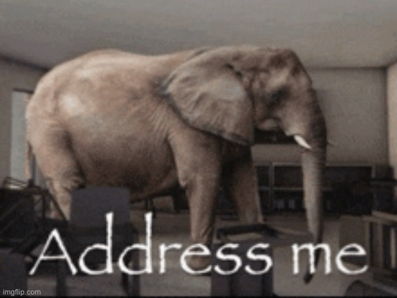 address me | image tagged in address me | made w/ Imgflip meme maker