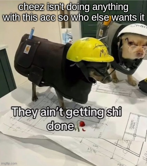 They ain't getting shi done | cheez isn't doing anything with this acc so who else wants it | image tagged in they ain't getting shi done | made w/ Imgflip meme maker
