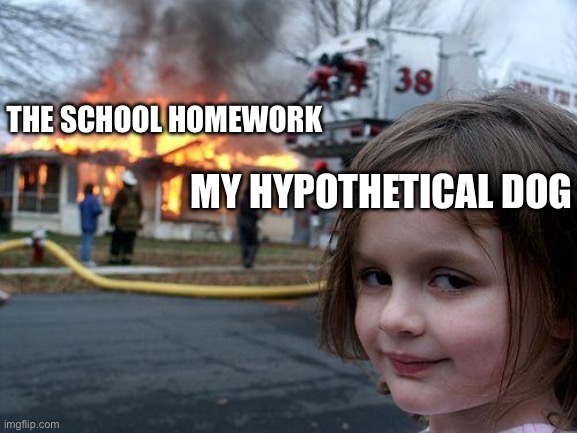 School meme to start my channel | MY HYPOTHETICAL DOG; THE SCHOOL HOMEWORK | image tagged in memes,disaster girl | made w/ Imgflip meme maker