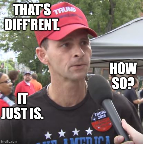 Trump supporter | THAT'S DIFF'RENT. HOW SO? IT JUST IS. | image tagged in trump supporter | made w/ Imgflip meme maker