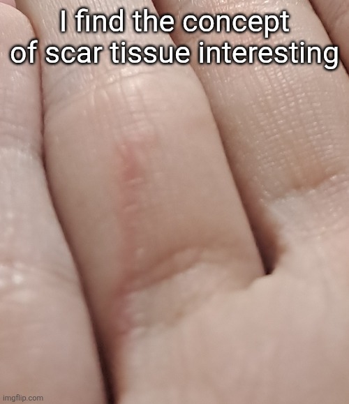 I find the concept of scar tissue interesting | made w/ Imgflip meme maker