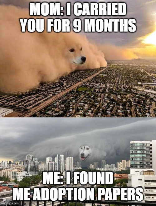 dust storm 2 panels | MOM: I CARRIED YOU FOR 9 MONTHS; ME: I FOUND ME ADOPTION PAPERS | image tagged in dust storm 2 panels | made w/ Imgflip meme maker