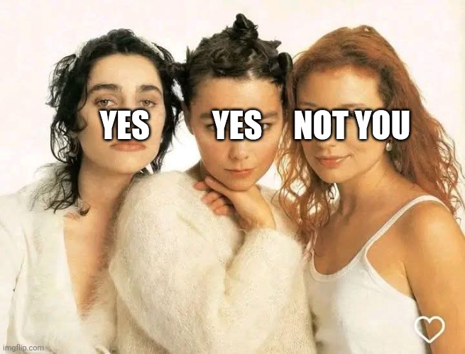 Yes yes not you | YES          YES     NOT YOU | image tagged in ph bjork nope | made w/ Imgflip meme maker