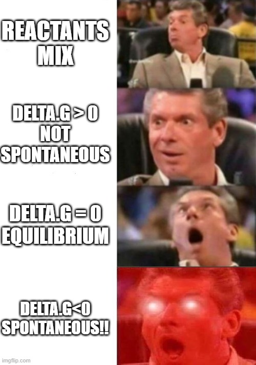 Thermochemistry and Spontaneity | REACTANTS MIX; DELTA.G > 0
NOT SPONTANEOUS; DELTA.G = 0
EQUILIBRIUM; DELTA.G<0
SPONTANEOUS!! | image tagged in mr mcmahon reaction,pchem,delta g,spontaneity,equilibrium | made w/ Imgflip meme maker