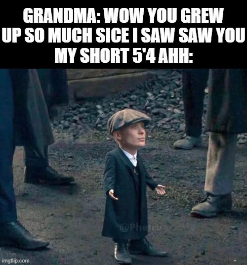 The hell you mean i grew!!, it's been 2 years since my last growth spurt!!! | GRANDMA: WOW YOU GREW UP SO MUCH SICE I SAW SAW YOU
MY SHORT 5'4 AHH: | image tagged in memes,random tag,peaky blinders,short | made w/ Imgflip meme maker