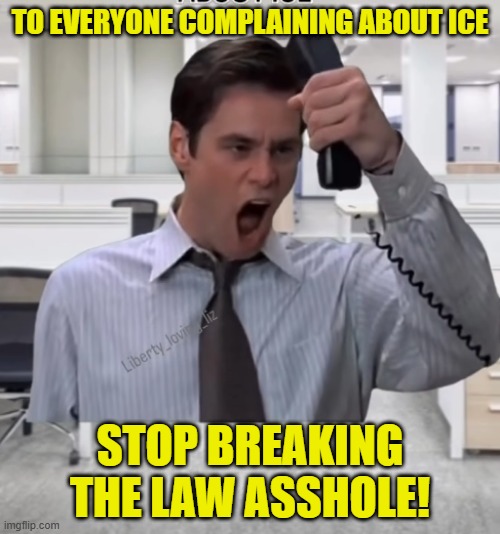 Public service announcement that could save your life, apparently for some reason | TO EVERYONE COMPLAINING ABOUT ICE; STOP BREAKING THE LAW ASSHOLE! | image tagged in public service announcement,crime,deportation,ice,america first,common sense | made w/ Imgflip meme maker