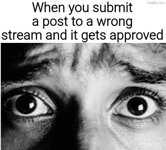 Unnerved Stare | When you submit a post to a wrong stream and it gets approved | image tagged in unnerved stare,memes,meme,funny,funny memes | made w/ Imgflip meme maker