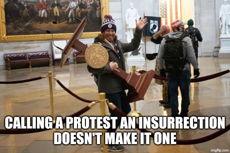 CALLING A PROTEST AN INSURRECTION
DOESN'T MAKE IT ONE | image tagged in via getty | made w/ Imgflip meme maker