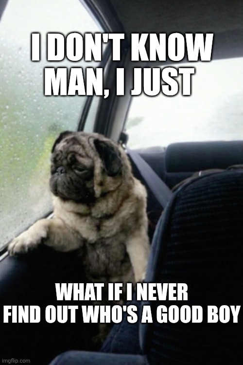 I Don't Know Man | I DON'T KNOW MAN, I JUST; WHAT IF I NEVER FIND OUT WHO'S A GOOD BOY | image tagged in chrisjoines1 | made w/ Imgflip meme maker