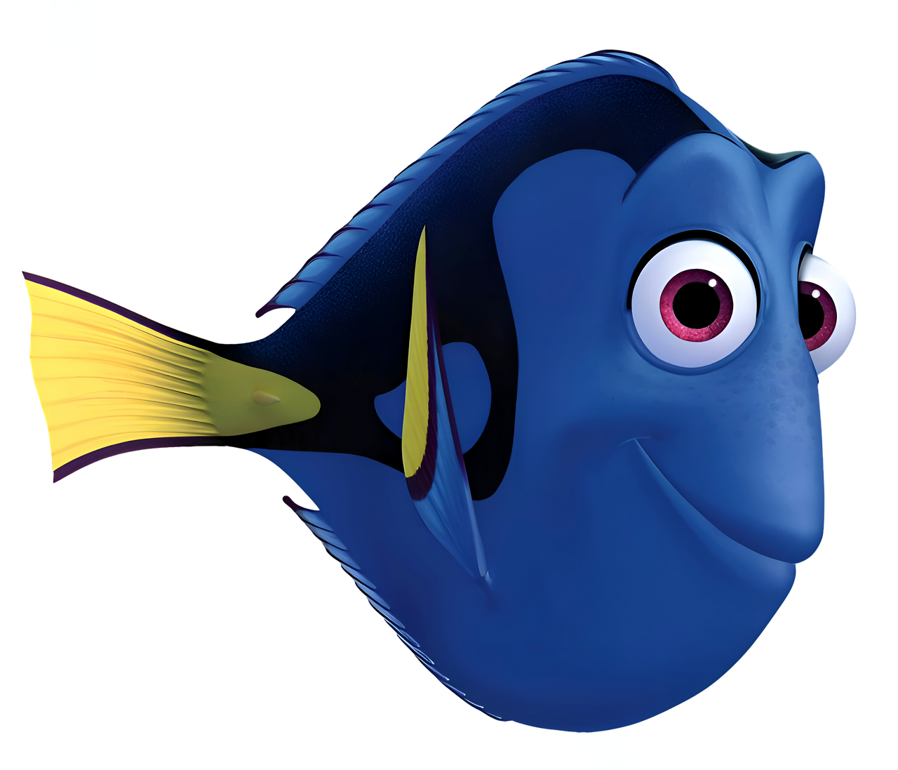 Dory Blank Meme Template