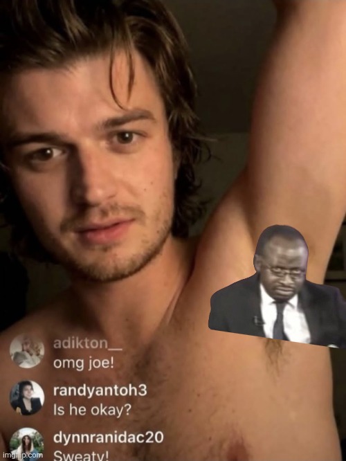 Joe Keery's armpit | image tagged in joe keery's armpit | made w/ Imgflip meme maker
