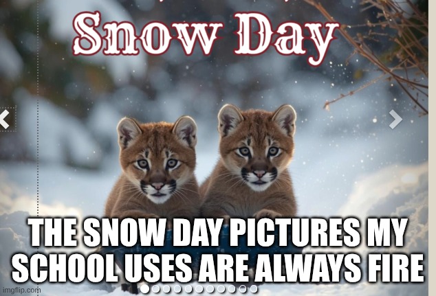 fire snow day images | THE SNOW DAY PICTURES MY SCHOOL USES ARE ALWAYS FIRE | image tagged in snow day | made w/ Imgflip meme maker